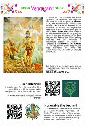 Menú at Veggicano Plant Based in Mexico City