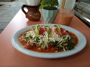 Exquisitas Enchiladas Potosinas 🤪 Agua de Mamey at Veggicano Plant Based in Mexico City
