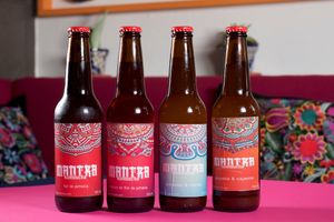 Kombucha  (Guayaba-menta, Guayaba-Pimienta cayena, Moras-Flor de Jamaica, Naranja-Jengibre, Mango) at Veggicano Plant Based in Mexico City