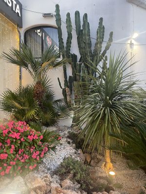   at Senhor Frog's in Albufeira