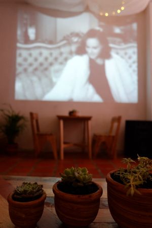 Cultural films every Sunday at Roots in Jardin
