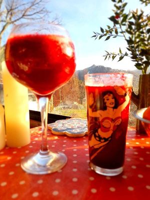 Smoothies ad Snacks  at Wellness and Wilderness in Bonar