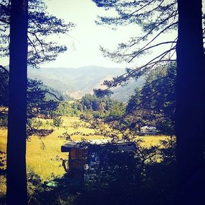 the place. 

el lugar 
 at Wellness and Wilderness in Bonar