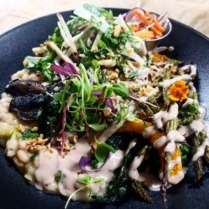 Plantaeful bowl  at Petisco Vegano in New York City