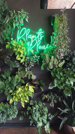 Decoration at Watercourse Foods in Denver