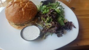 Fried chicken sandwiche at Watercourse Foods in Denver