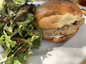 Fried chicken sandwich with mixed greens at Watercourse Foods in Denver