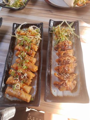 Loempias and gyozo at Green Tea Dim Sum Bar in Amsterdam