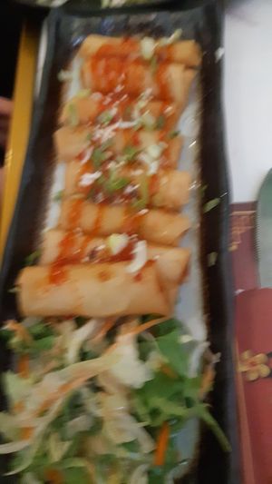 Spring rolls at Green Tea Dim Sum Bar in Amsterdam