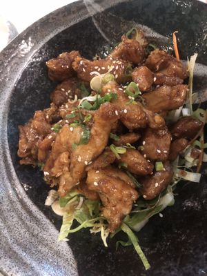 Vegan chicken with teriyaki sauce   at Green Tea Dim Sum Bar in Amsterdam