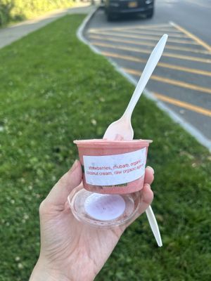 Vegan strawberry ice cream   at The Chocolate Studio in Beacon
