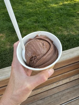 Vegan Chocolate Raspberry   at Vashti Rose in Port Moody