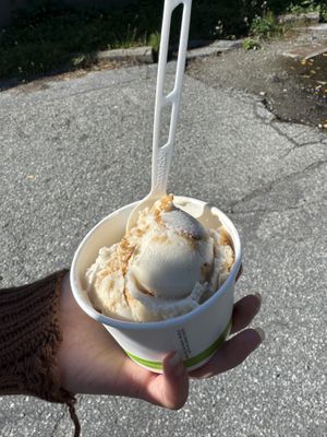 Vegan pumpkin pie  at Vashti Rose in Port Moody