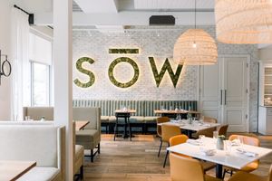 SŌW Plated has many vegan options, fresh-pressed juices and a full bar with many fresh-pressed juices incorporated into their featured cocktails. 
 at Sow Plated in Upper Arlington