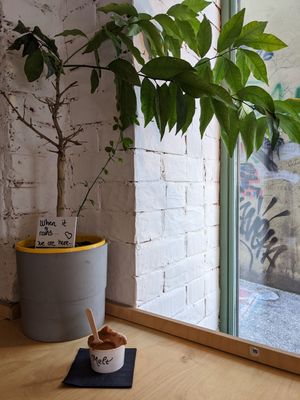 Plum and peanut vegan gelato at Melt Cafe in Zagreb