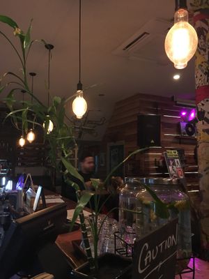 Bar at The Portland Public House in Auckland