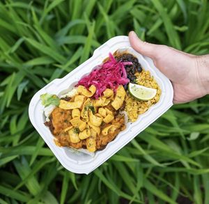 The Roswell  at Burrito Burrito at Wizard Burger in Albany