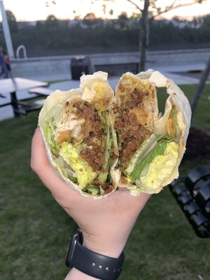 Roswell Burrito at Burrito Burrito at Wizard Burger in Albany