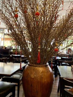 Pretty ✨ at Bo De Tinh Tam Chay - Beach Blvd in Westminster