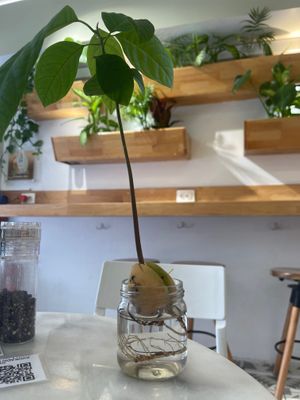  at Avokado Bar in Istanbul