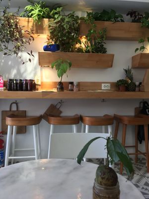 Green ambiance with nice music  at Avokado Bar in Istanbul
