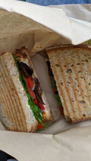 Hungry rabbit at Black Rabbit in Edinburgh