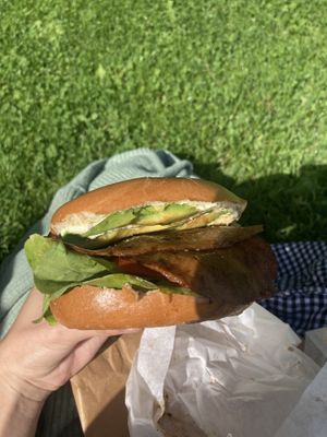   at Black Rabbit in Edinburgh