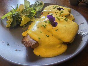  at Black Rabbit in Edinburgh