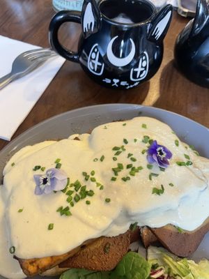   at Black Rabbit in Edinburgh