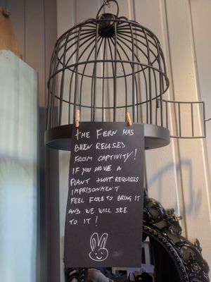 Got a plant that needs imprisonment? at Black Rabbit in Edinburgh