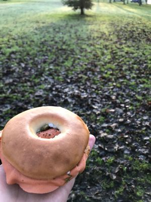 Salmon & cheese bagel at Black Rabbit in Edinburgh