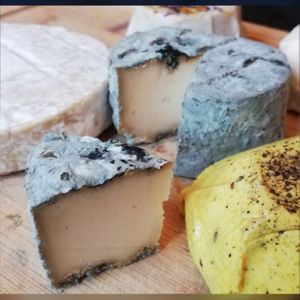 Roque & blue at Black Rabbit in Edinburgh