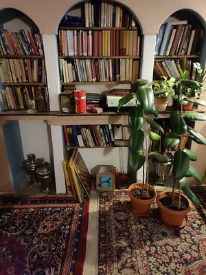 Boardgames and books 📚 at Dobrá Cajovna in Kutna Hora