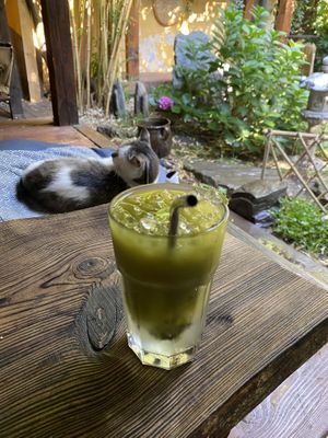   at Dobrá Cajovna in Kutna Hora