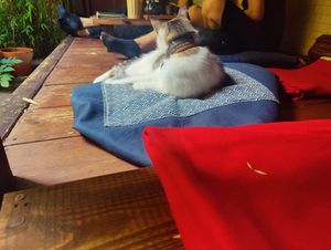  at Dobrá Cajovna in Kutna Hora