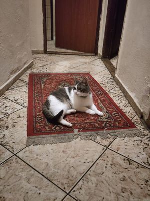  at Dobrá Cajovna in Kutna Hora