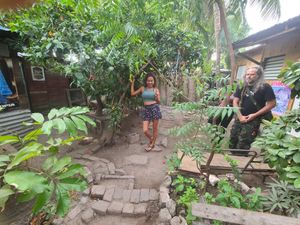 Back yard at Ibo Spice in Kingston