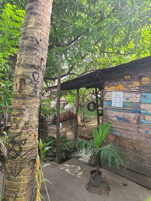 Good vibes at Ibo Spice in Kingston