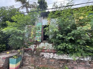 Frontal just in case you couldn’t find it, it’s behind the bushes 🙂  at Ibo Spice in Kingston