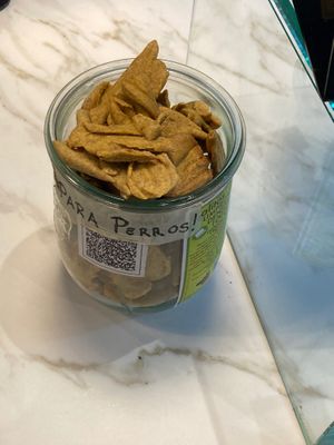 Free vegan dog treats at The Fix Specialty Coffee in Madrid