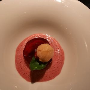 Starter at Maggese in San Miniato