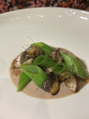   at Maggese in San Miniato