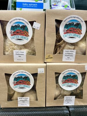 Shrooms   at Wenatchee Natural Foods in Wenatchee