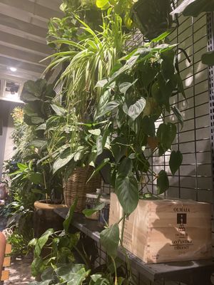   at Hosteria del Mercato in Rome