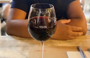 House red wine.   at Rossopomodoro - Santa Lucia in Venice