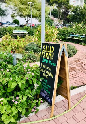  at Pat's Deli Farm in Sarande