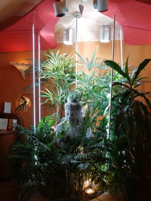  at Maitrea in Prague