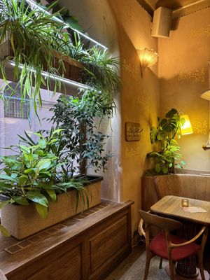   at Maitrea in Prague