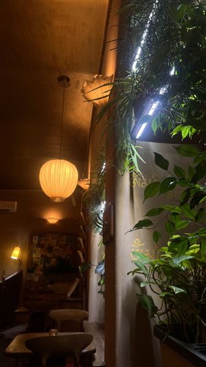   at Maitrea in Prague