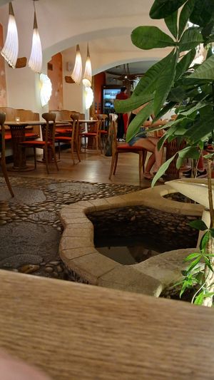  at Maitrea in Prague